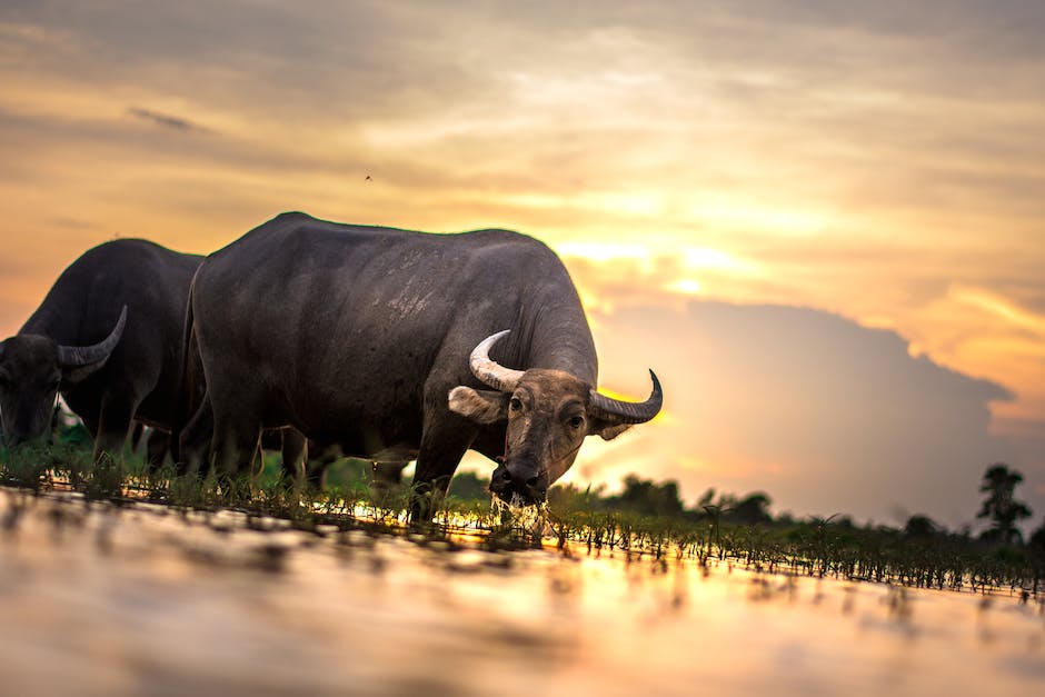  Flüge nach Thailand buchen – wann die beste Zeit ist