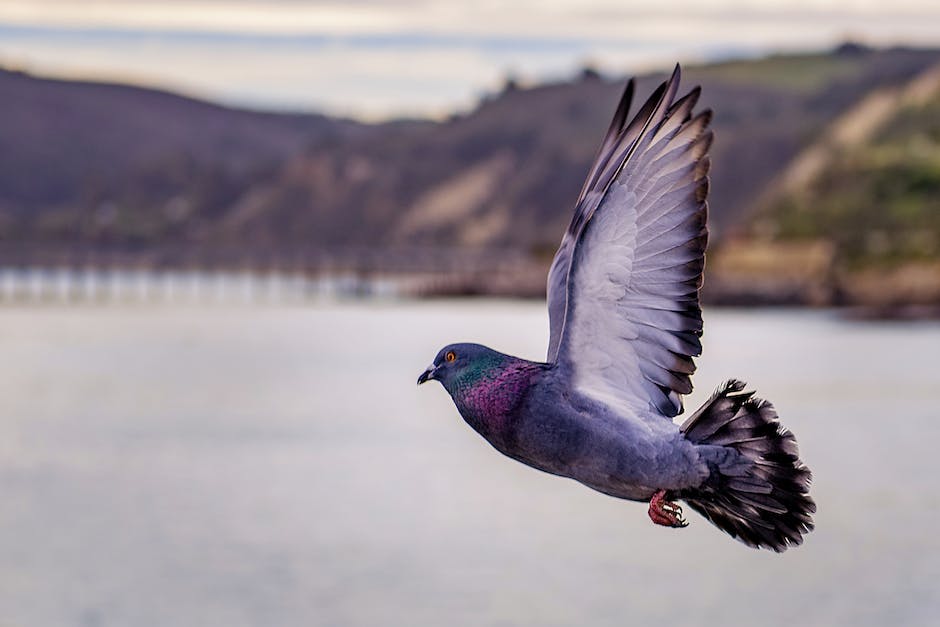  günstigen Flug buchen - Tipps und Tricks