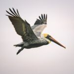 Flugbuchung Uhrzeiten beachten