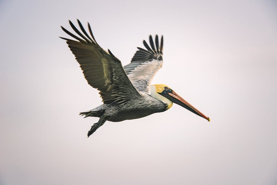 Flugbuchung Uhrzeiten beachten