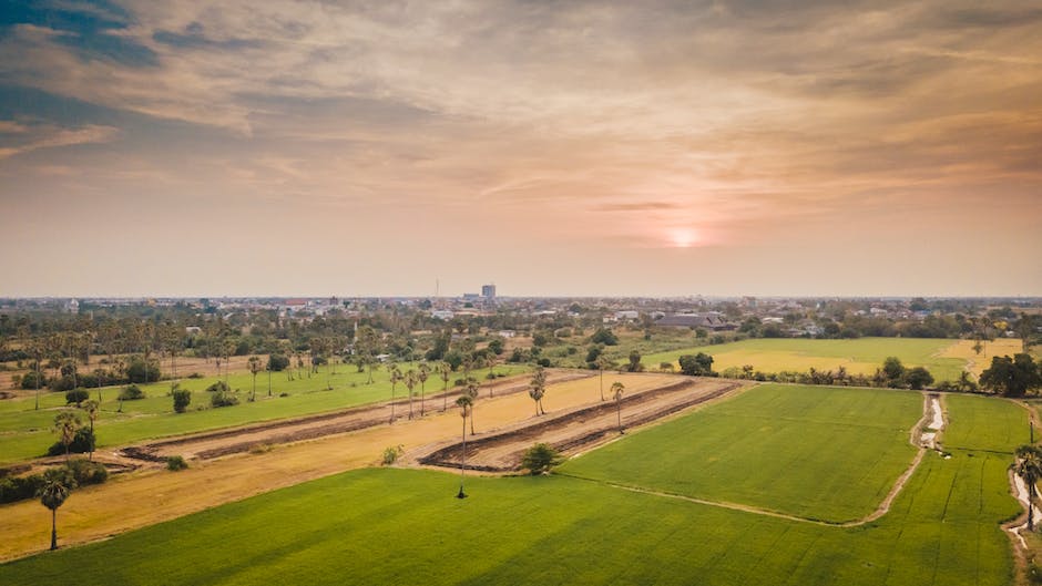  Flüge nach Bangkok buchen