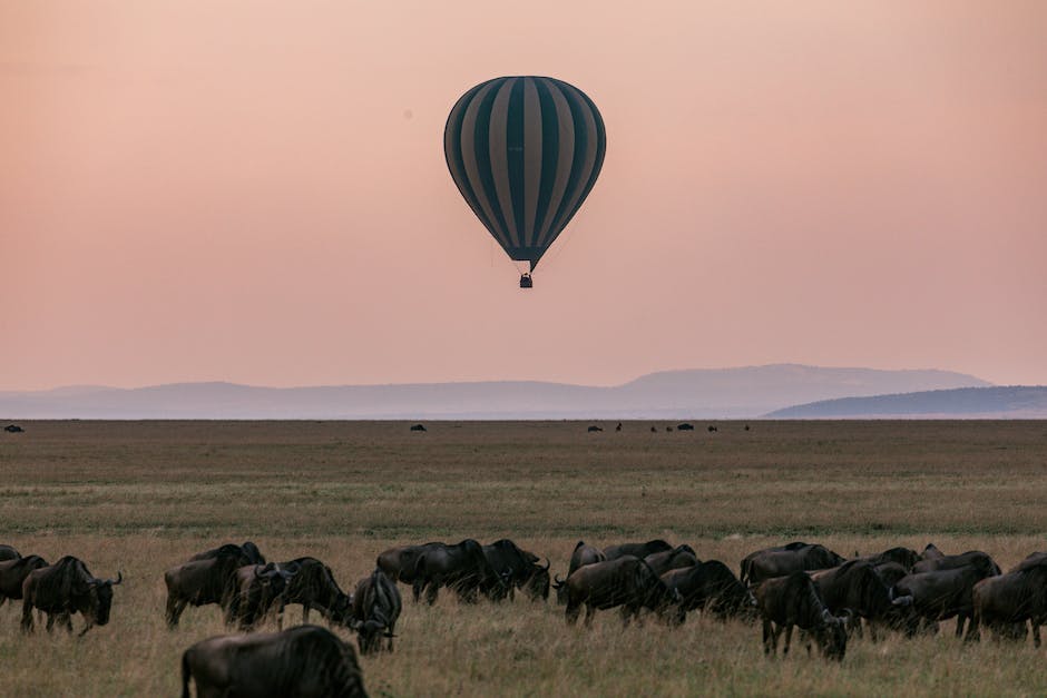 Flüge nach Südafrika buchen