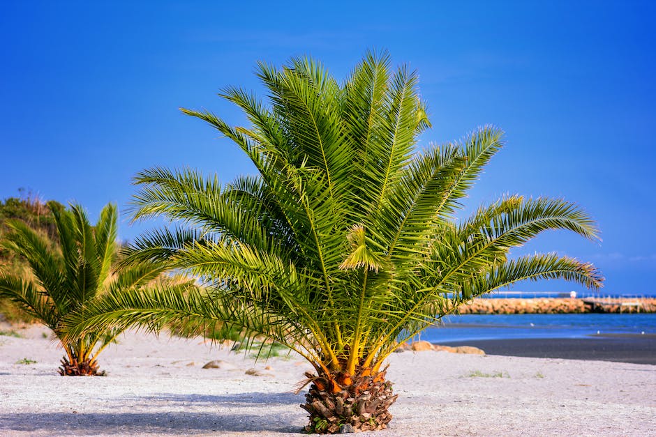 Urlaub zu günstigsten Zeitpunkt buchen