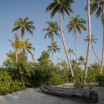 Malediven Urlaub buchen – die besten Tipps und Angebote