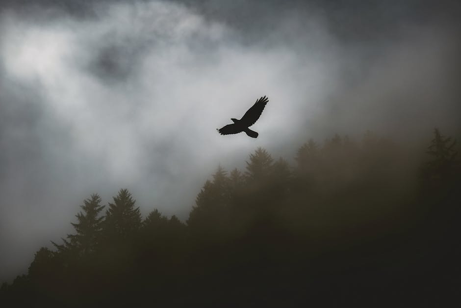  Wochentag für Flugbuchungen auswählen