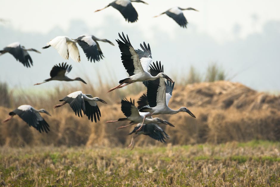 Flugzeitplan vor der Buchung prüfen