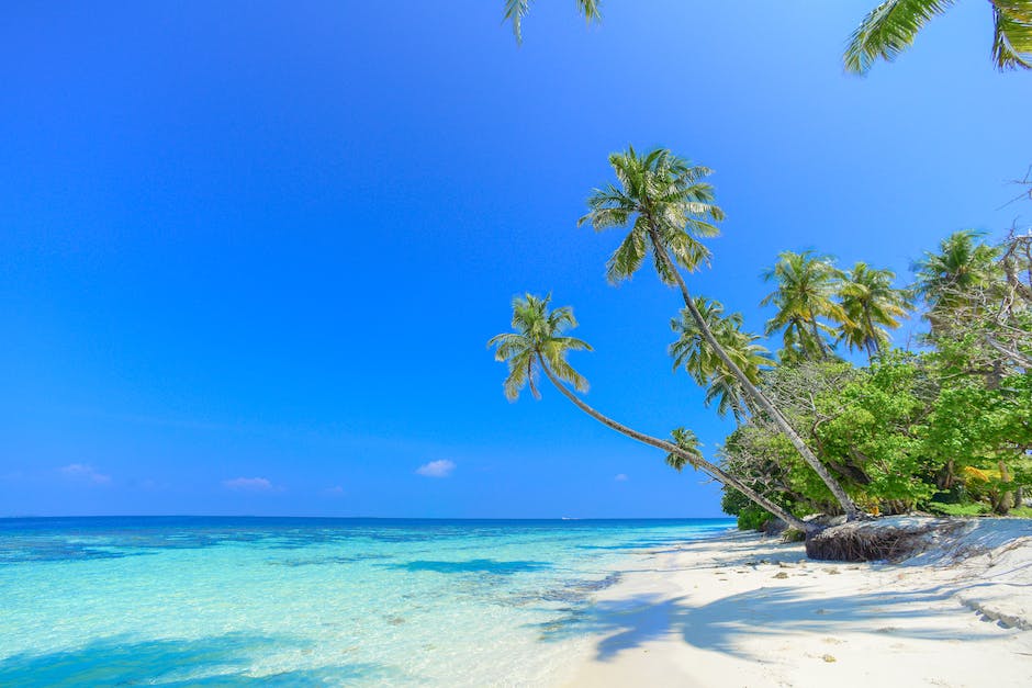 Urlaub buchen zu günstigen Preisen